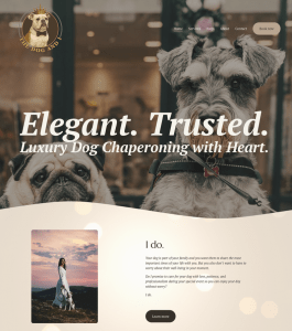 The front page of The Dog And I's website